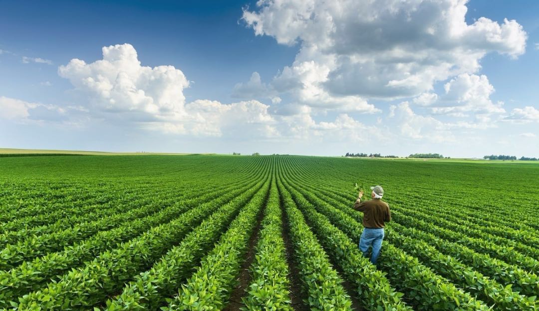 我國(guó)磷資源產(chǎn)業(yè)發(fā)展的問(wèn)題與建議3.jpg 我國(guó)磷資源產(chǎn)業(yè)發(fā)展的問(wèn)題與建議3.jpg